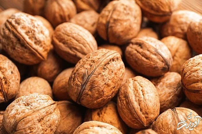 مکان خنک برای نگهداری از گردو مکان مناسب گردو